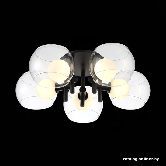 

Люстра средней высоты ST Luce Elleto SL1483.402.05