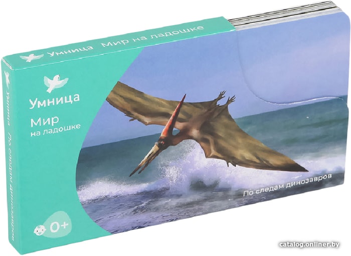 

Развивающая игра Умница Мир на ладошке. По следам динозавров 2035