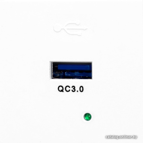 

Розетка USB Orno OR-GM-9010/W/USBQ