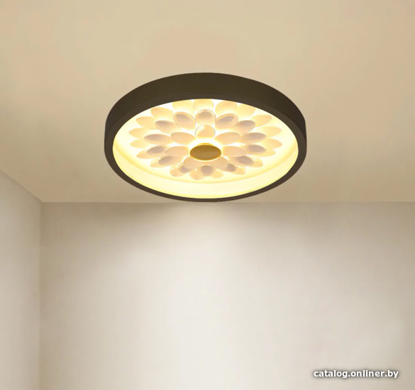 

Припотолочная люстра ImperiumLoft Petals-C01 195468-26