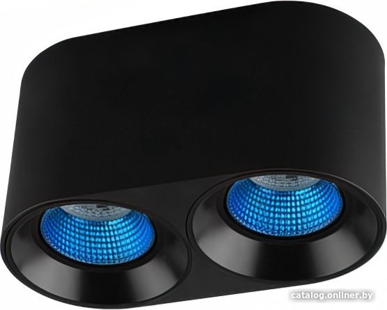 

Спот Denkirs DK3020BСY DK3096-BK+CY