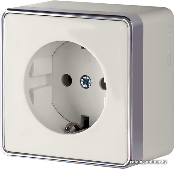 

Розетка Werkel Gallant WL15-02-02 (слоновая кость)