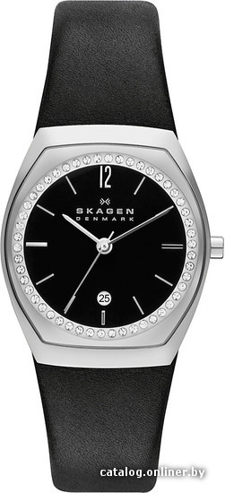 

Наручные часы Skagen SKW2119