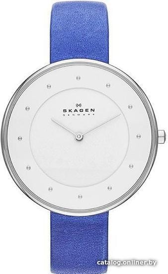

Наручные часы Skagen SKW2172