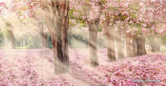 

Фотообои Citydecor Сказочная природа 5 с защитным покрытием 500x260
