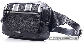 

Женская сумка Galanteya 42319 9с3815к45 N104 (черный/молочный)