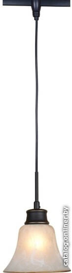 

Трековый светильник Citilux Классик CL560215
