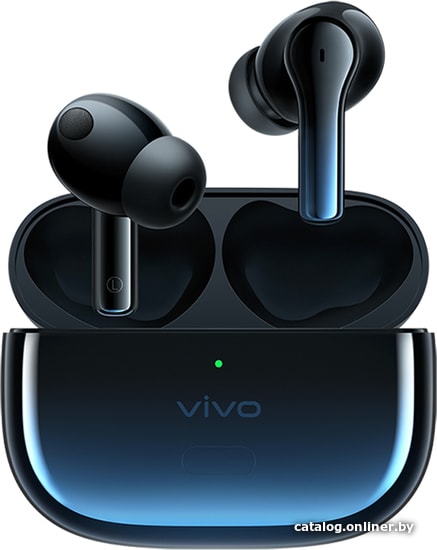 

Наушники Vivo TWS 2e (темно-синий)