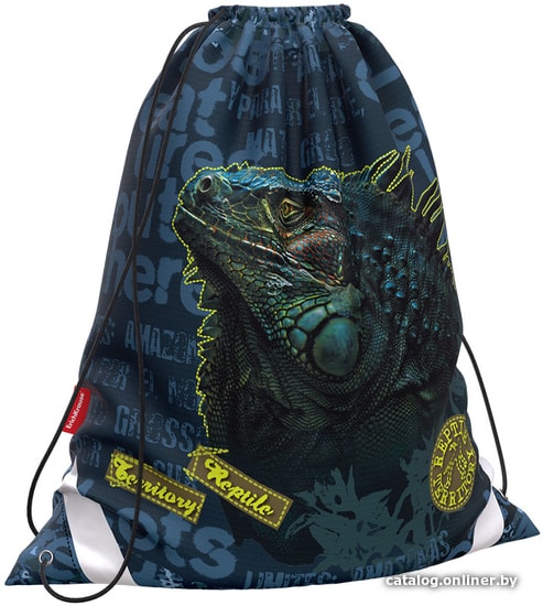 

Мешок для обуви Erich Krause 36.5x44 Iguana 48665