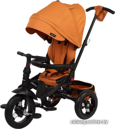 

Детский велосипед Moby Kids Leader 360° 12x10 AIR (коричневый)