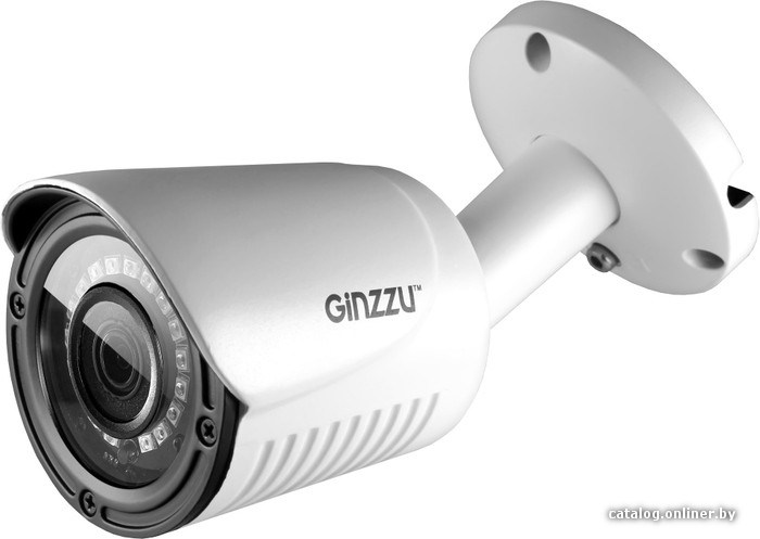 

IP-камера Ginzzu HIB-2031S