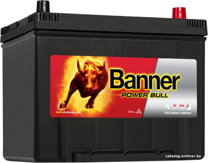 

Автомобильный аккумулятор Banner Power Bull P80 09 (80 А·ч)