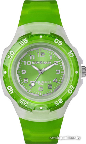 

Наручные часы Timex T5K366